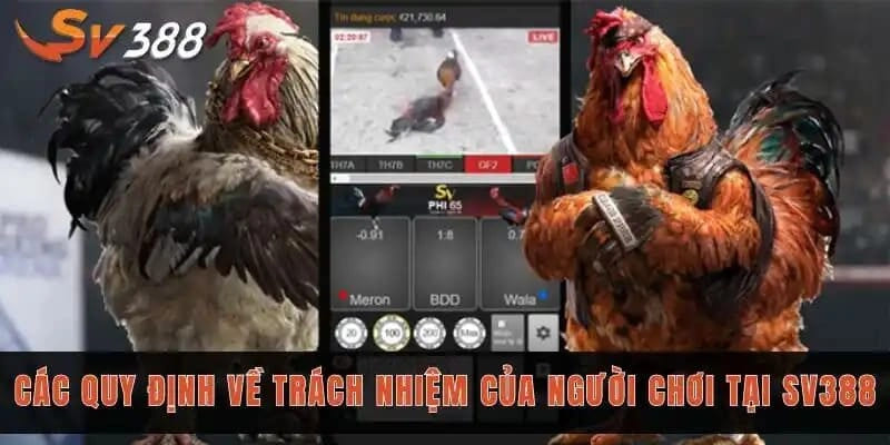 Các chính sách miễn trừ trách nhiệm SV388